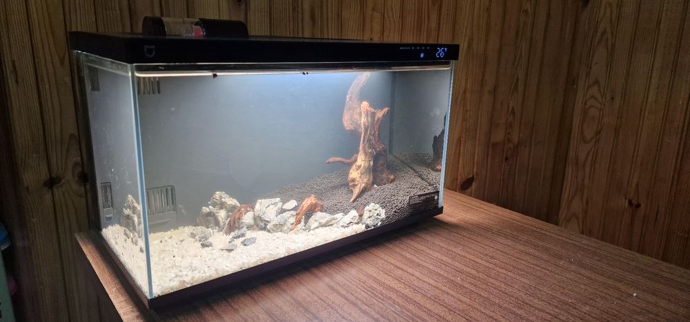 Aquário Xiaomi tank fish