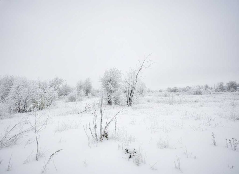 Продаж ділянки 9,82сот (ОСГ). Грунтовий під'їзд. Неподалік ліс. ID:715