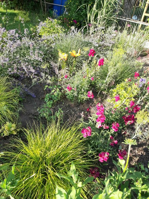 Ogródek działkowy ROD