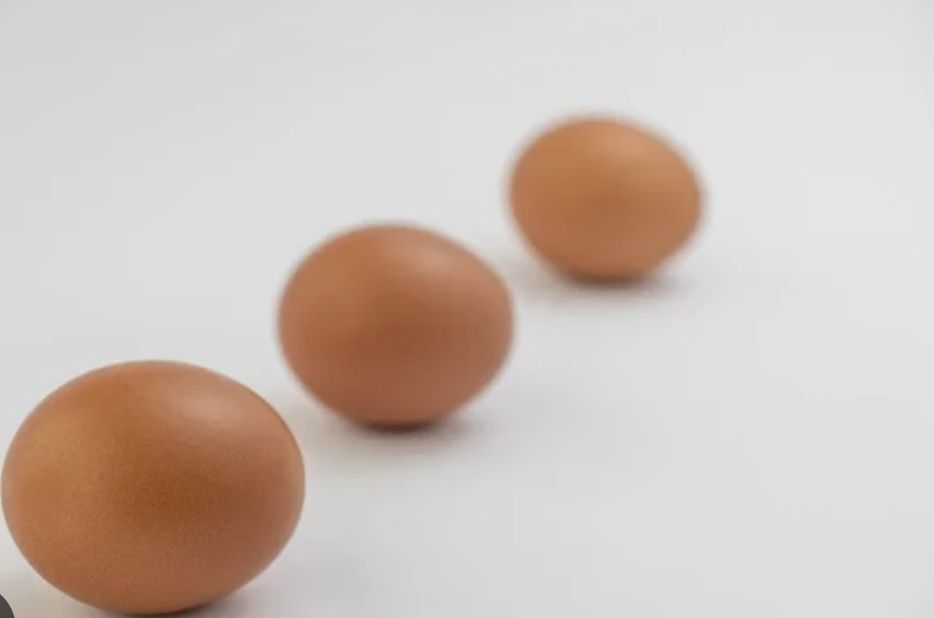 Яйце інкубаційне мясояїчка:Мастер, Редбро, Голошийка