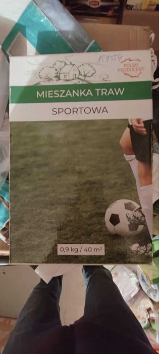 mieszanka traw sportowa