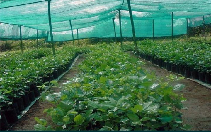 Rede sombra fabrico nacional