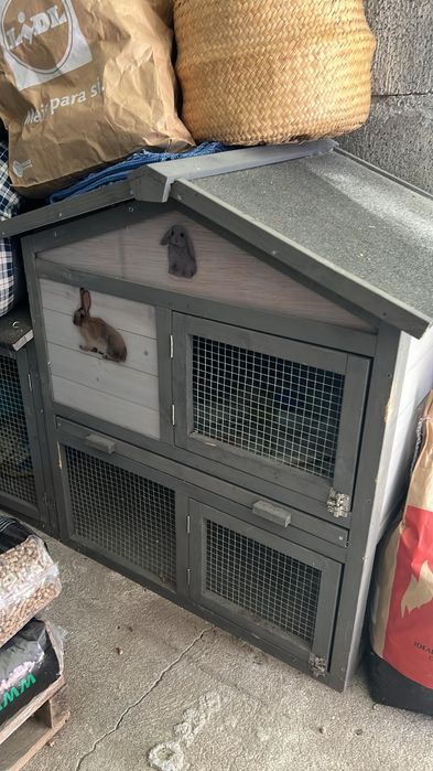 Coelheira em madeira