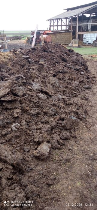 Навоз коровий, свежий,сыпец