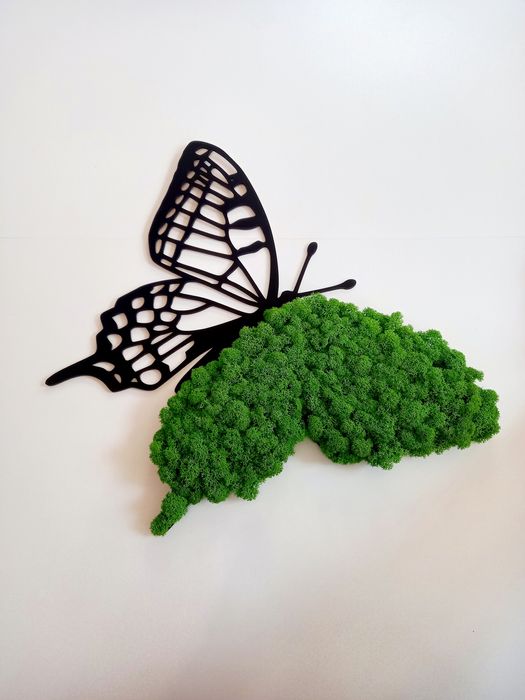 Obraz na ściane. Motyl z mchu chrobotka. Prezent. Dekoracje wnętrz