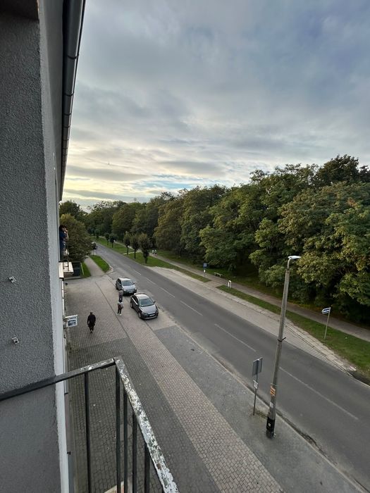 Zdjęcie 6