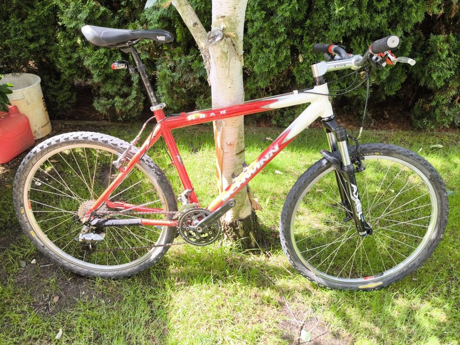 Rower MTB Schwinn Moab A1
