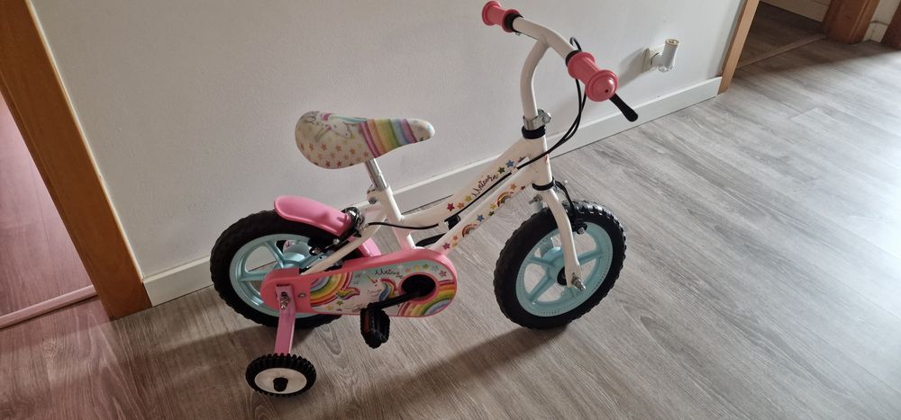 Triciclo de Menina Novo