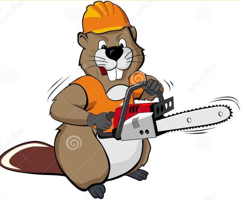 Профессиональный СПИЛ ДЕРЕВЬЕВ. Любой сложности. Дробилка, Вывоз Днепр