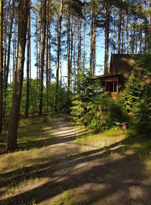Domek nad jeziorem, Pluski, plaża pomost