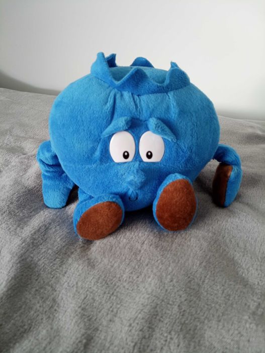 Świeżak borówka 23 cm Mierzyn • OLX.pl