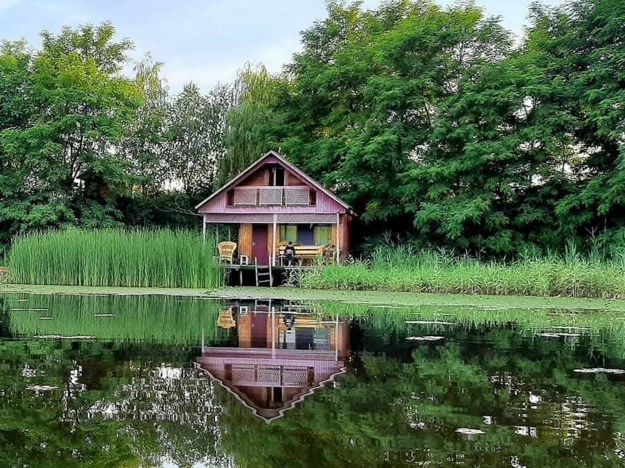 Продається озеро з земельною ділянкою