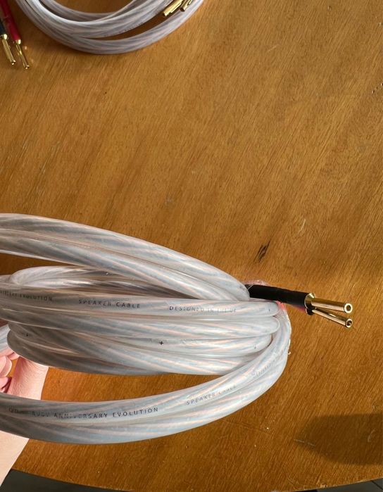 Cabos de som QED RUBY Anniversary Evolution