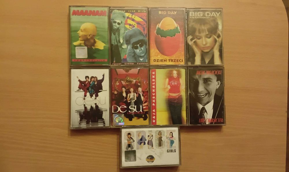 BigDay,Desu,KajaPaschalska,JacekWójcicki,Maanam,T-Raperzy,SpaceGirls.