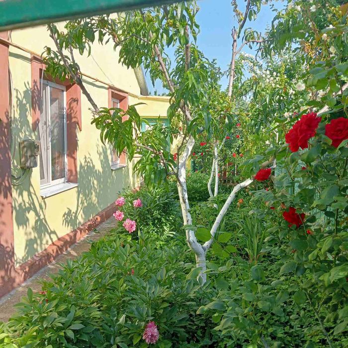 Продажа дома в городе Беляевка є-відновлення