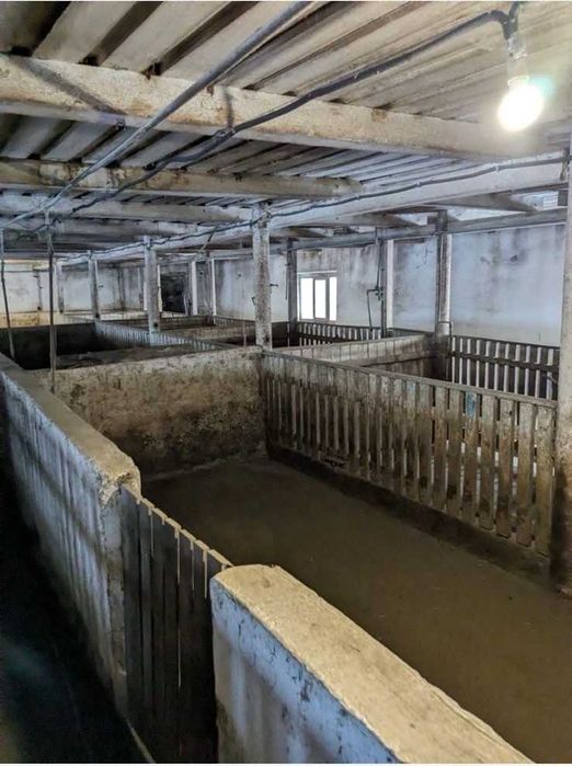 Свиноферма 2200 м2