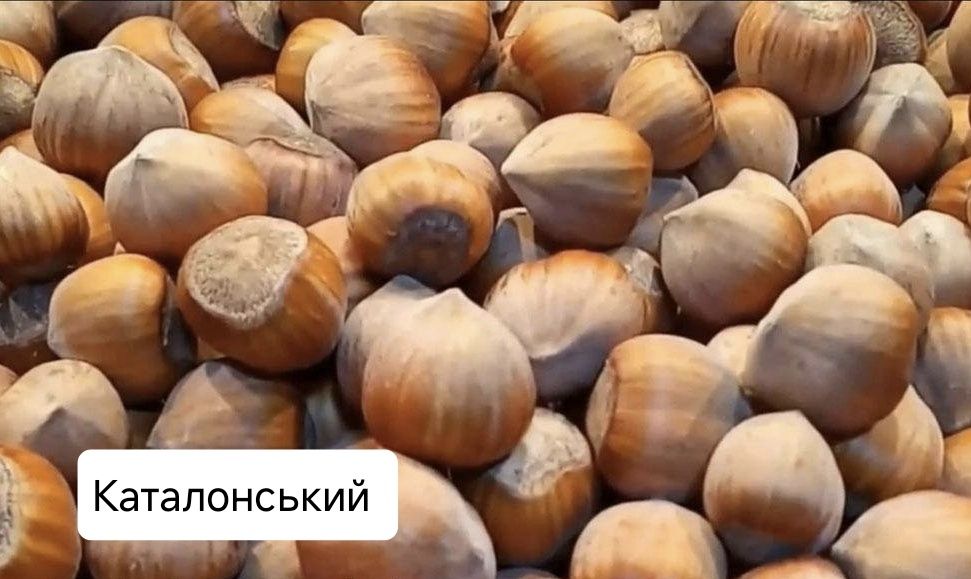 Айва Кизил Фундук Волоський