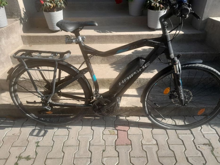 Bergamont на bocsh