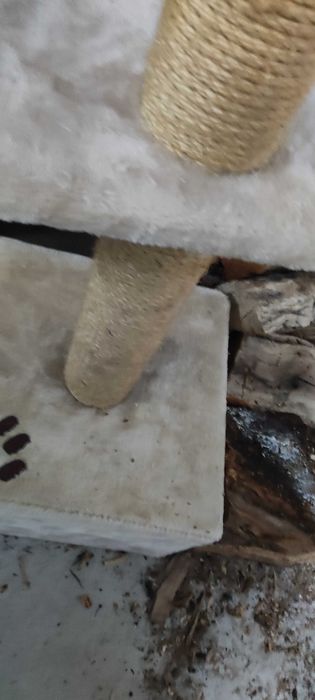 Arranhador Para gato