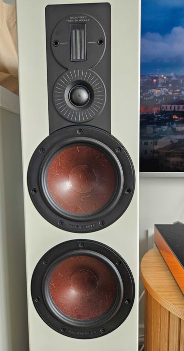 Kolumny Dali Opticon 6 Mk2 White