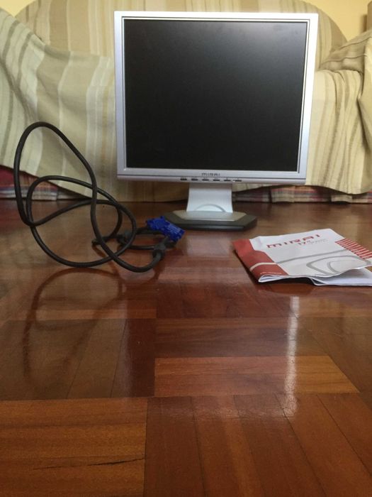 Monitor Mitsai cinzento