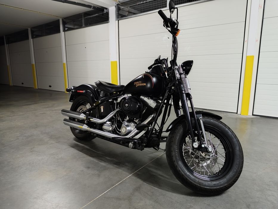 Harley Davidson crossbones