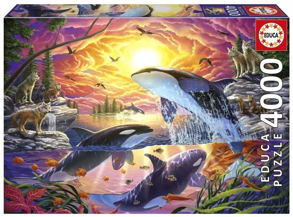 Puzzle 4000 elementów. Uwolnić orkę. Educa. Nowy Produkt