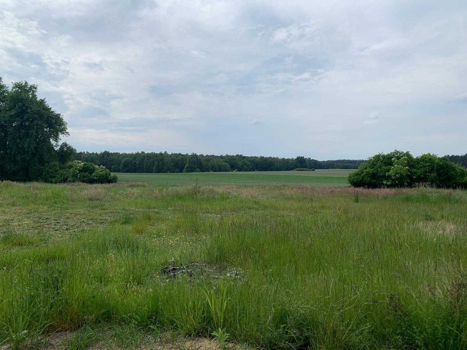 Piękna działka z lasem - View 5