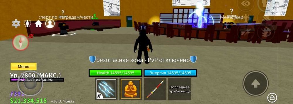 Blox Fruit 2800 level