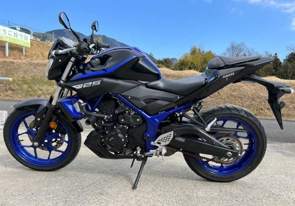Мотоцикл Yamaha MT-25 2018, в АртМото, в місті Суми.