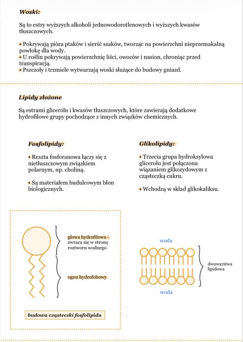 Korepetycje biologia