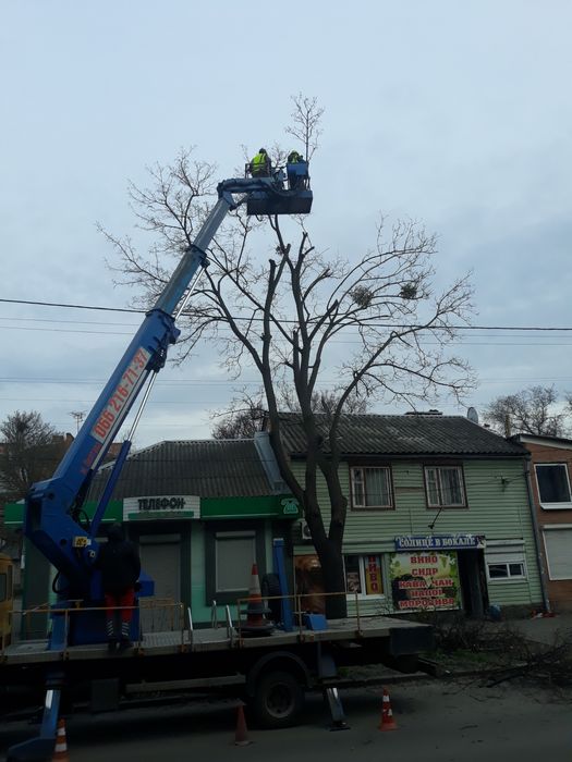 Спил аварійних дерев