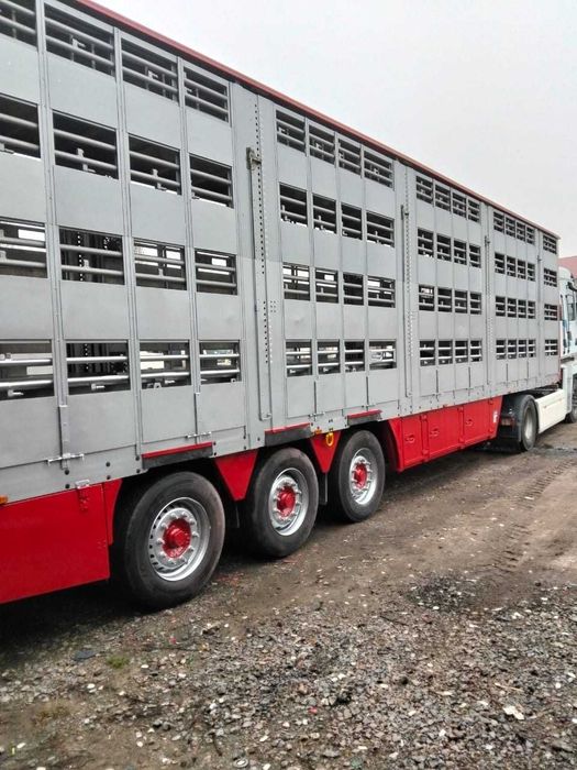 Pezzaioli SBA63 полуприцеп для перевозки животных