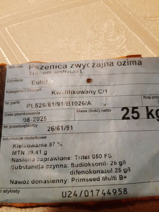 Jęczmień ozimy jakubus