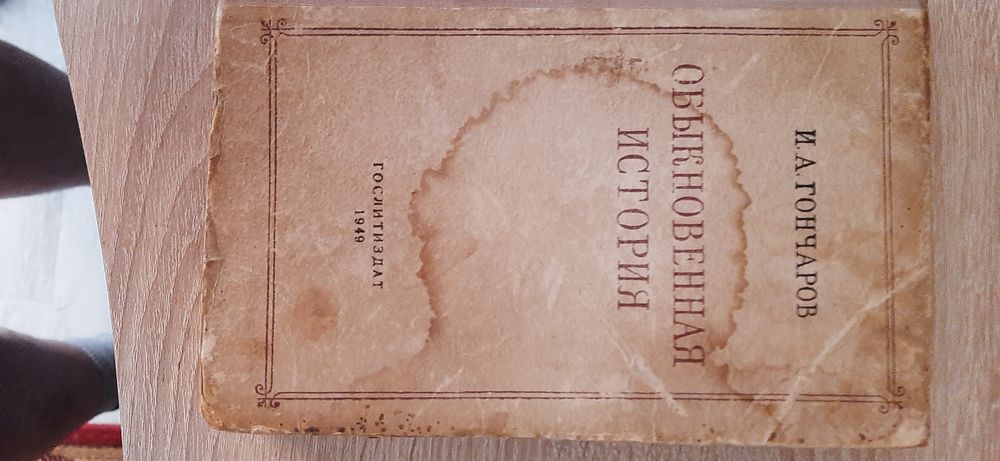 И.А. Гончаров. Обыкновенная история