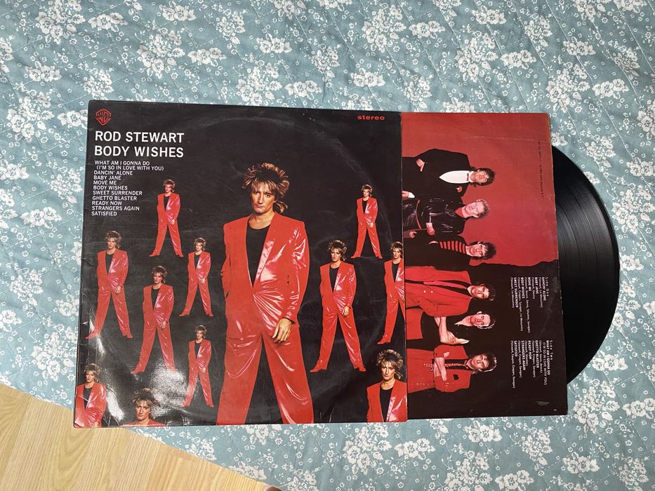 Discos de Vinyl (Pink Floyd, Rod Stewart, Dirty Dancing, Omega)