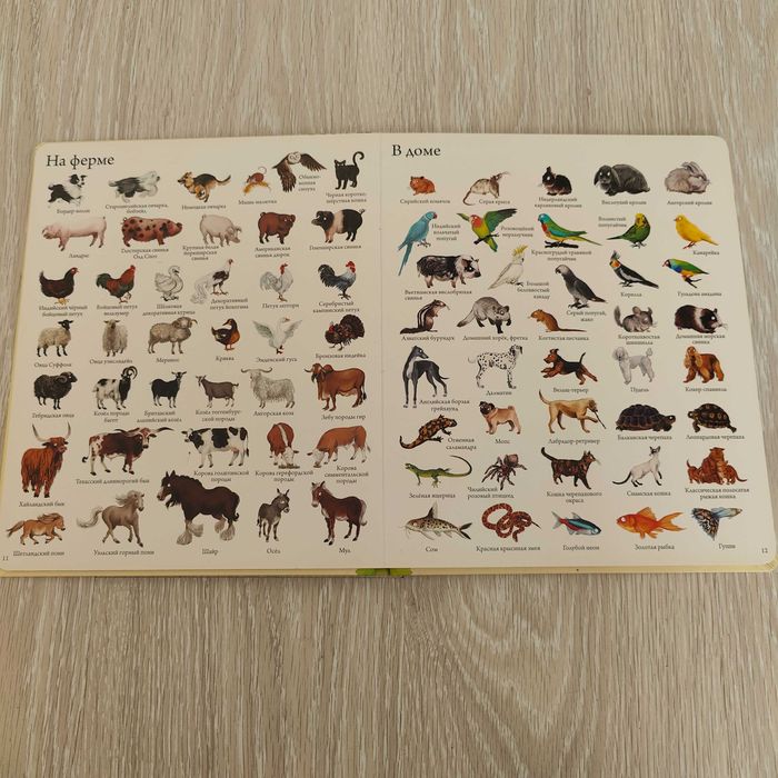 Иллюстрированный словарь 1000 животных мира