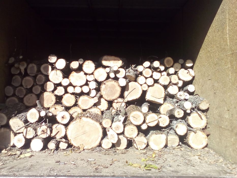 Продам дрова Акации