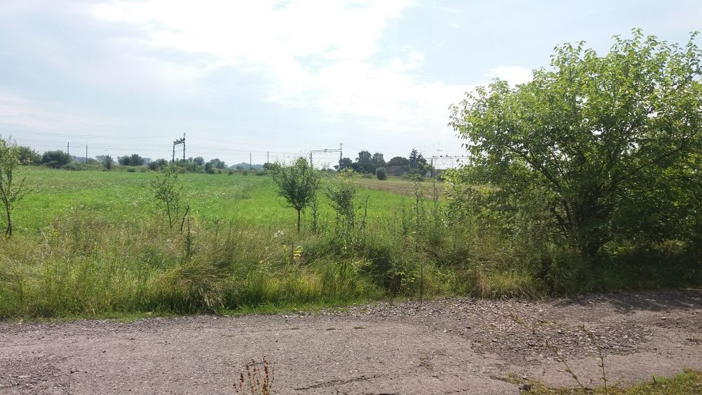 Земельна ділянка 0.25 сот