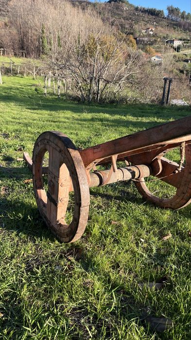 Carro de bói, reliquia antiga