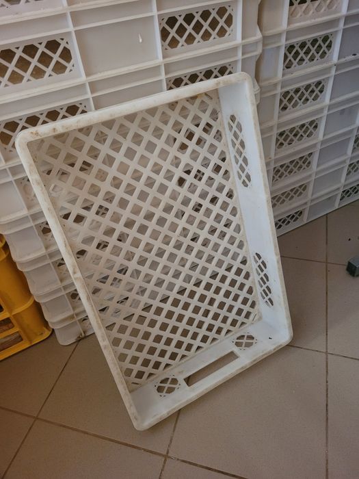 kosze transportowe na pieczywo lub drożdżówki