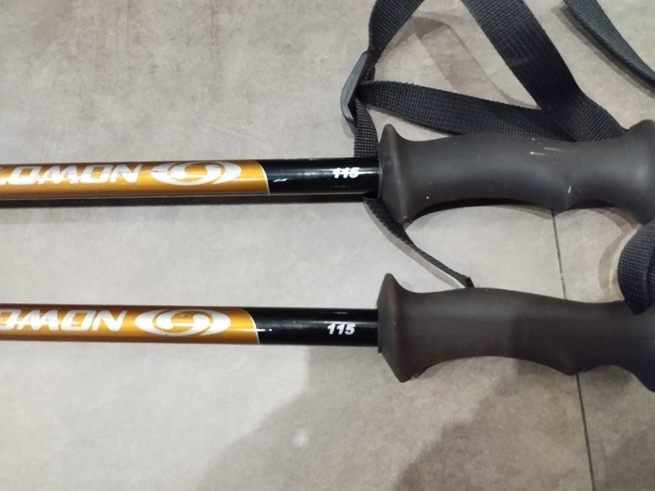 Par de Bastões de ski