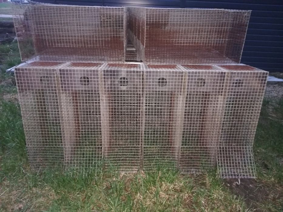 Klatki 6 i 20 komorowe na przepiorki i króliki