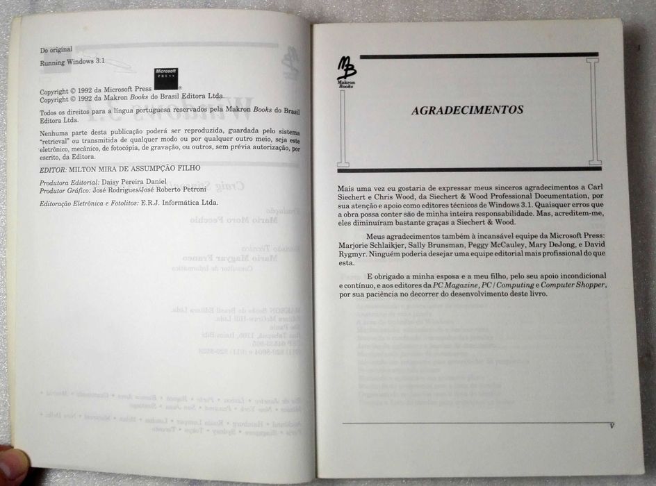 Livro Windows 3.1