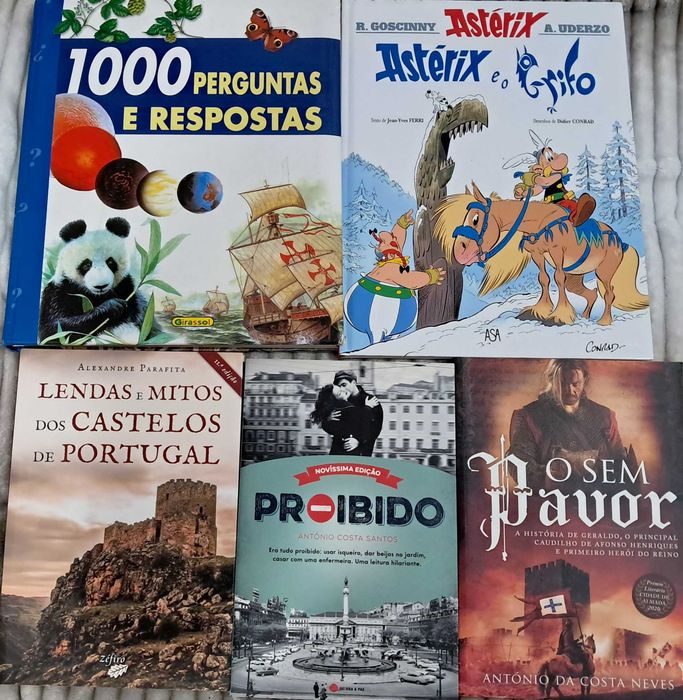 Grande Coleção de Livros (PNL, Ficção, Astérix, História, Política) - Lotes ou Unidade
