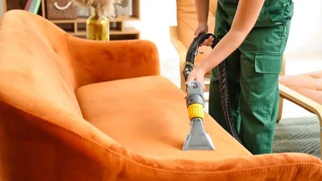 Химчистка ковров и диванов