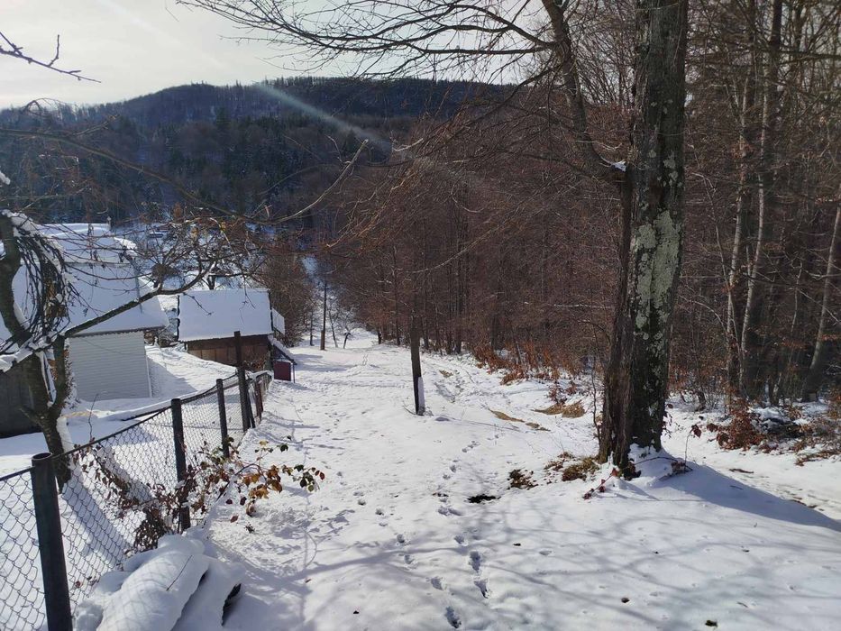 Будинок в Карпатах