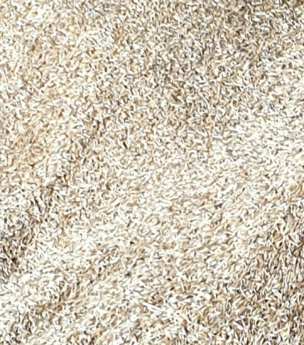 Owies workowany BINGO 2025