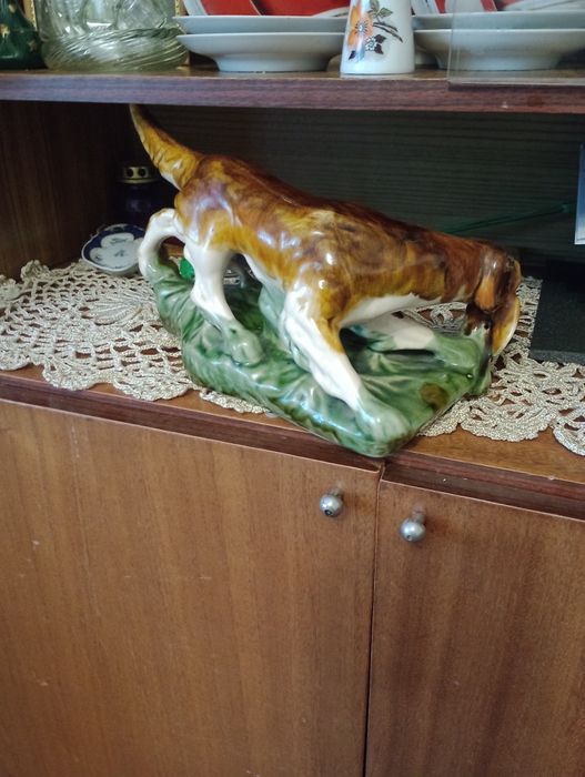 Собака на полюванні.