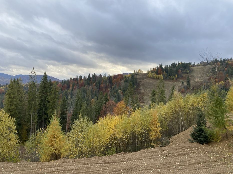 Продам земельну ділянку